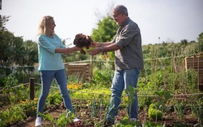 5 Dos and Don’ts When Lending Money to Loved Ones